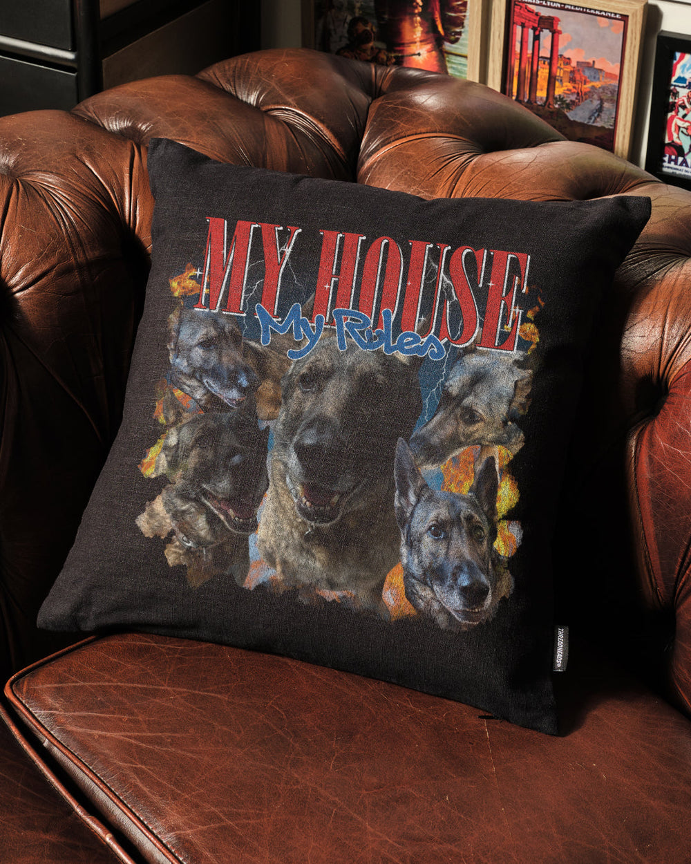 Bootleg Cushion