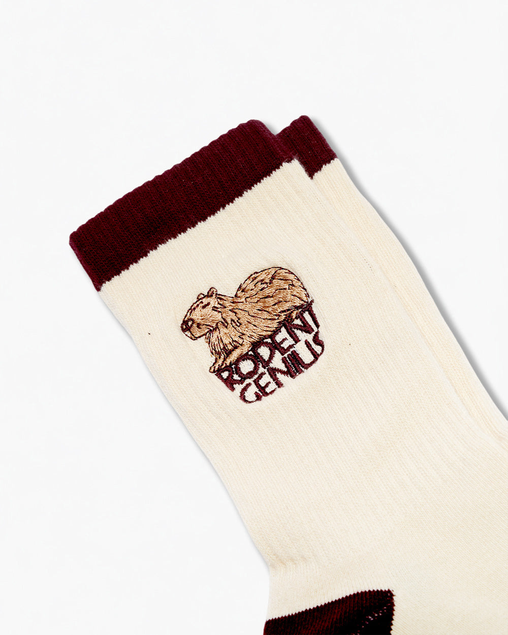 Rodent Genius Socks