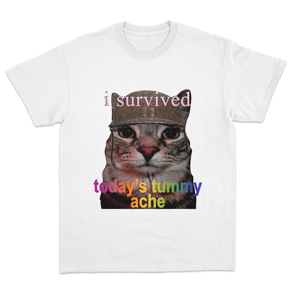 I Survived Today's Tummy Ache T-Shirt